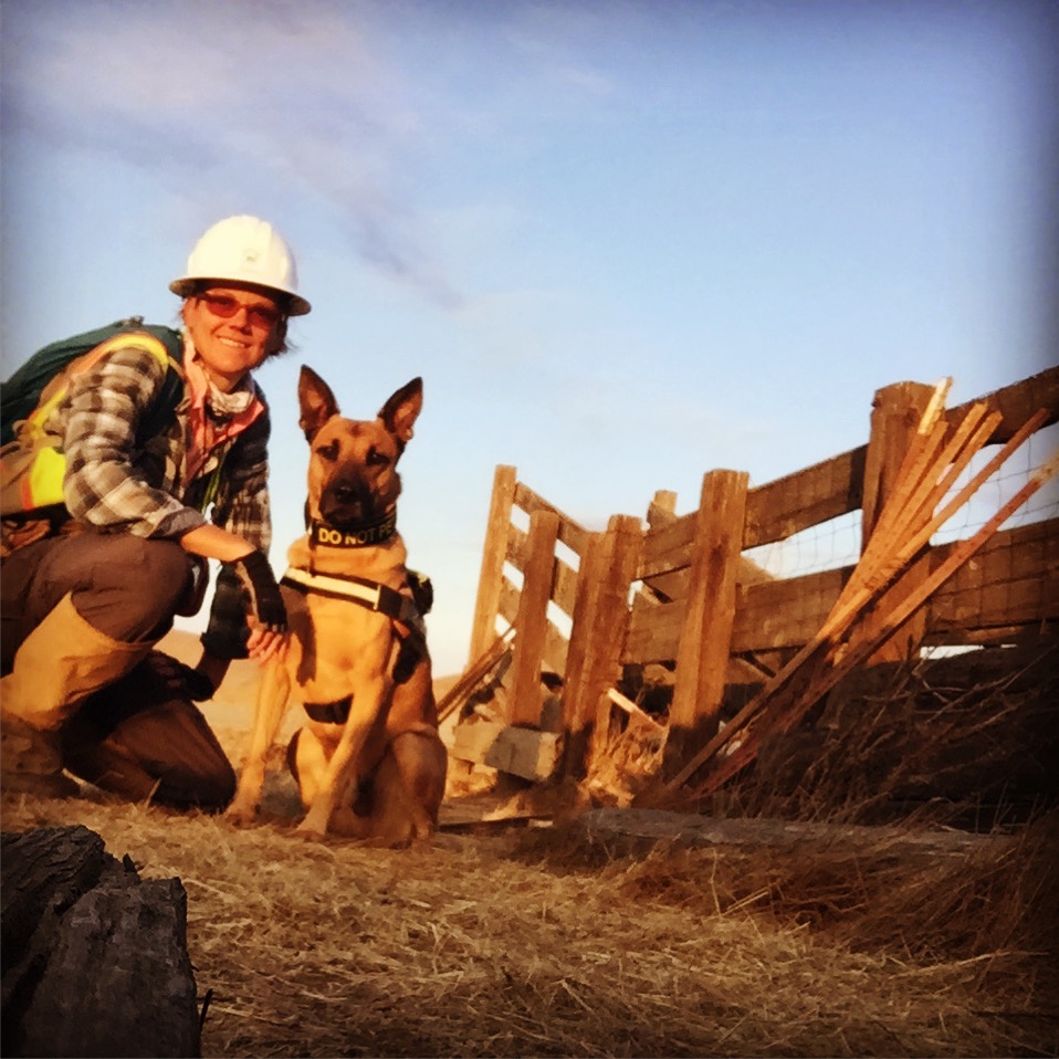 Detection Dog Team George & Lauralea