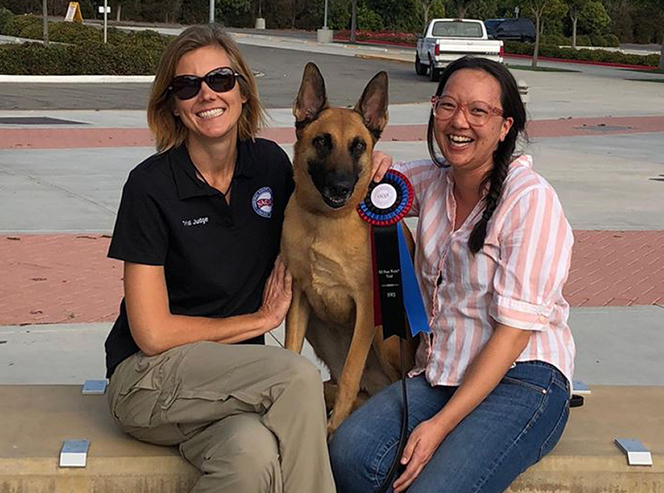 K9 Nosework Coaching