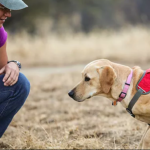 Deanna R, Detection Dog Handler and Biologist