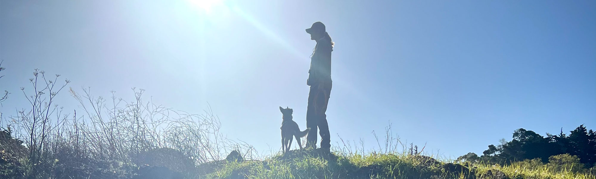 Built for the Field: Online Course (Working Version)