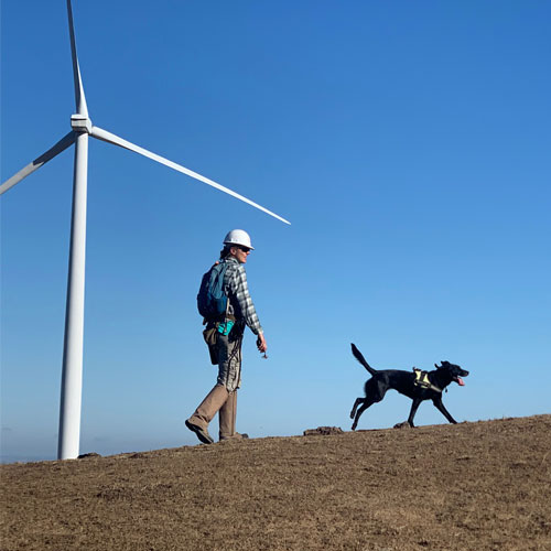 Solar & Wind Sites